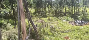 Prime 1/4 Acre Plot for Sale.