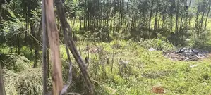 Prime 1/4 Acre Plot for Sale.
