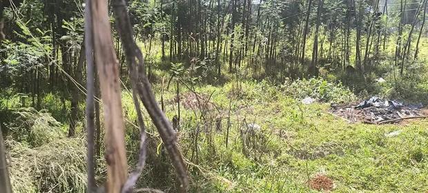 Prime 1/4 Acre Plot for Sale. - thumbnail 3