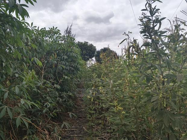 Plots for Sale - thumbnail 7
