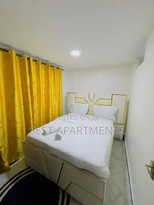Furnished 1bdrm Apartment in Ngara for rent