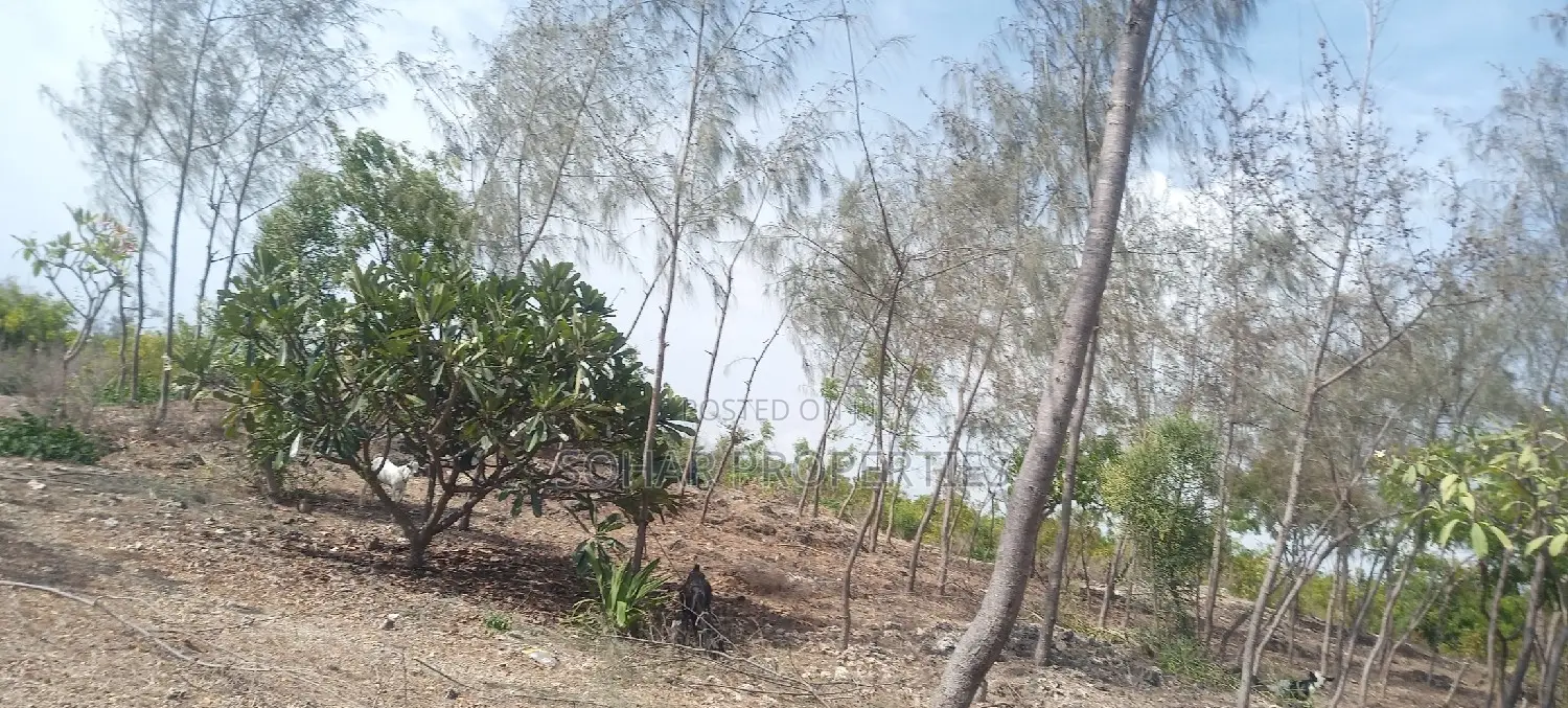 Beach Plots on Sale in Malindi