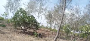 Beach Plots on Sale in Malindi