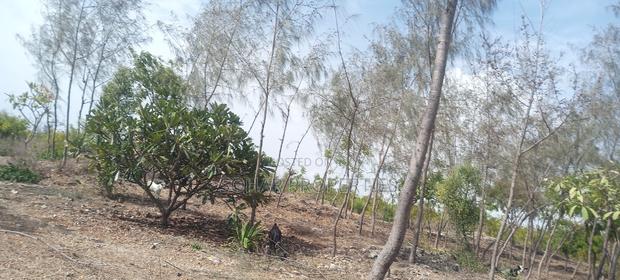 Beach Plots on Sale in Malindi