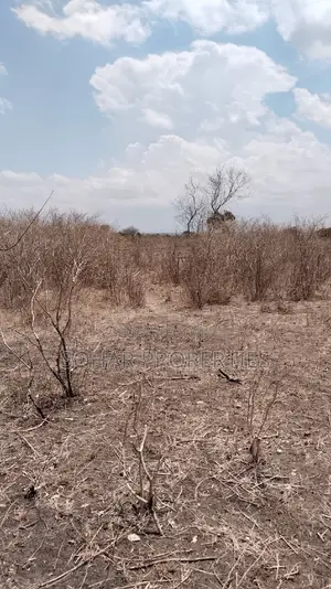 Farm Land for Sale in Malindi