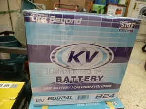 Battery Ns60
