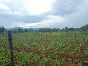10 Acres Prime Agricultural Land on Sale in Nyandarua, Engineer