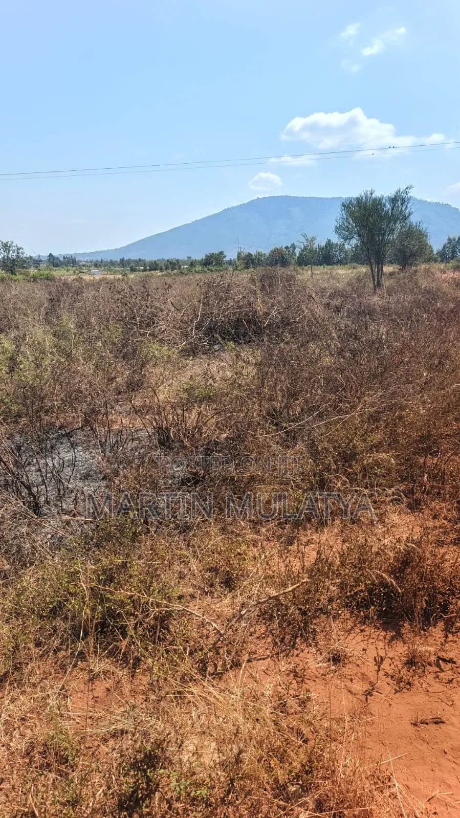 Land for Sell