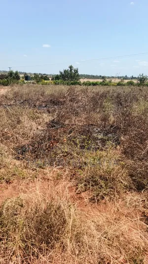 Land for Sell