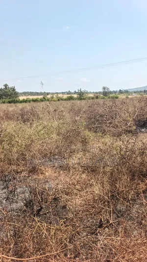 Land for Sell
