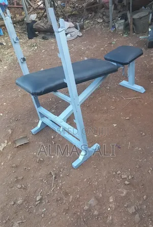 Flat Chest Bench and Pull Up Bar