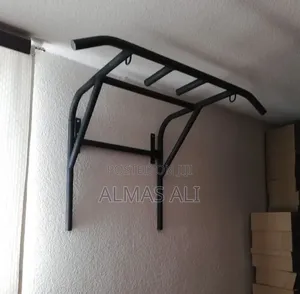 Flat Chest Bench and Pull Up Bar