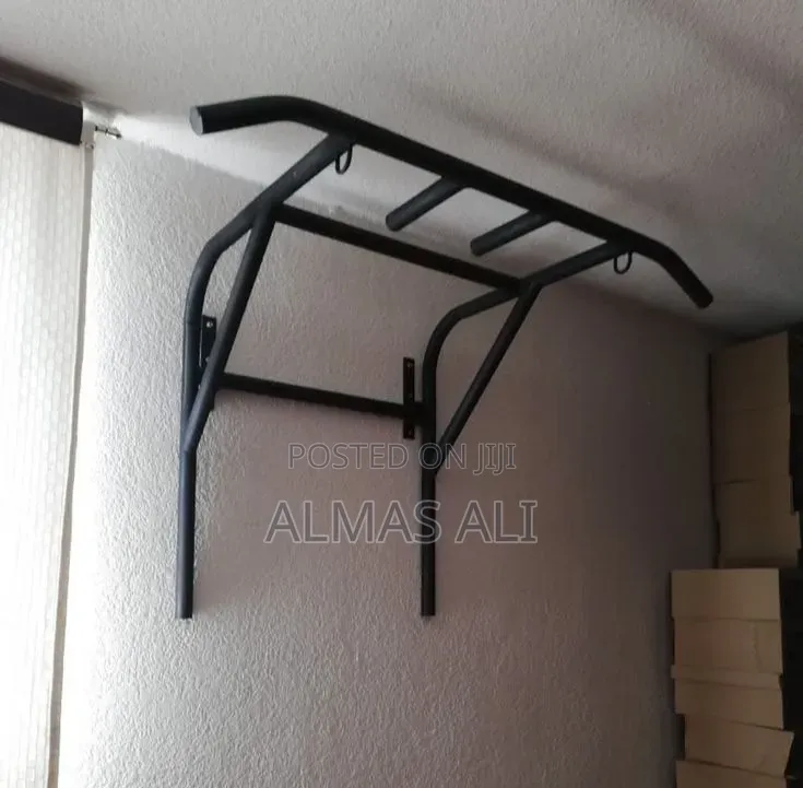 Flat Chest Bench and Pull Up Bar