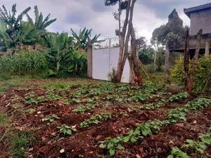 50/100 Plot on Sale at Kaspart Estate