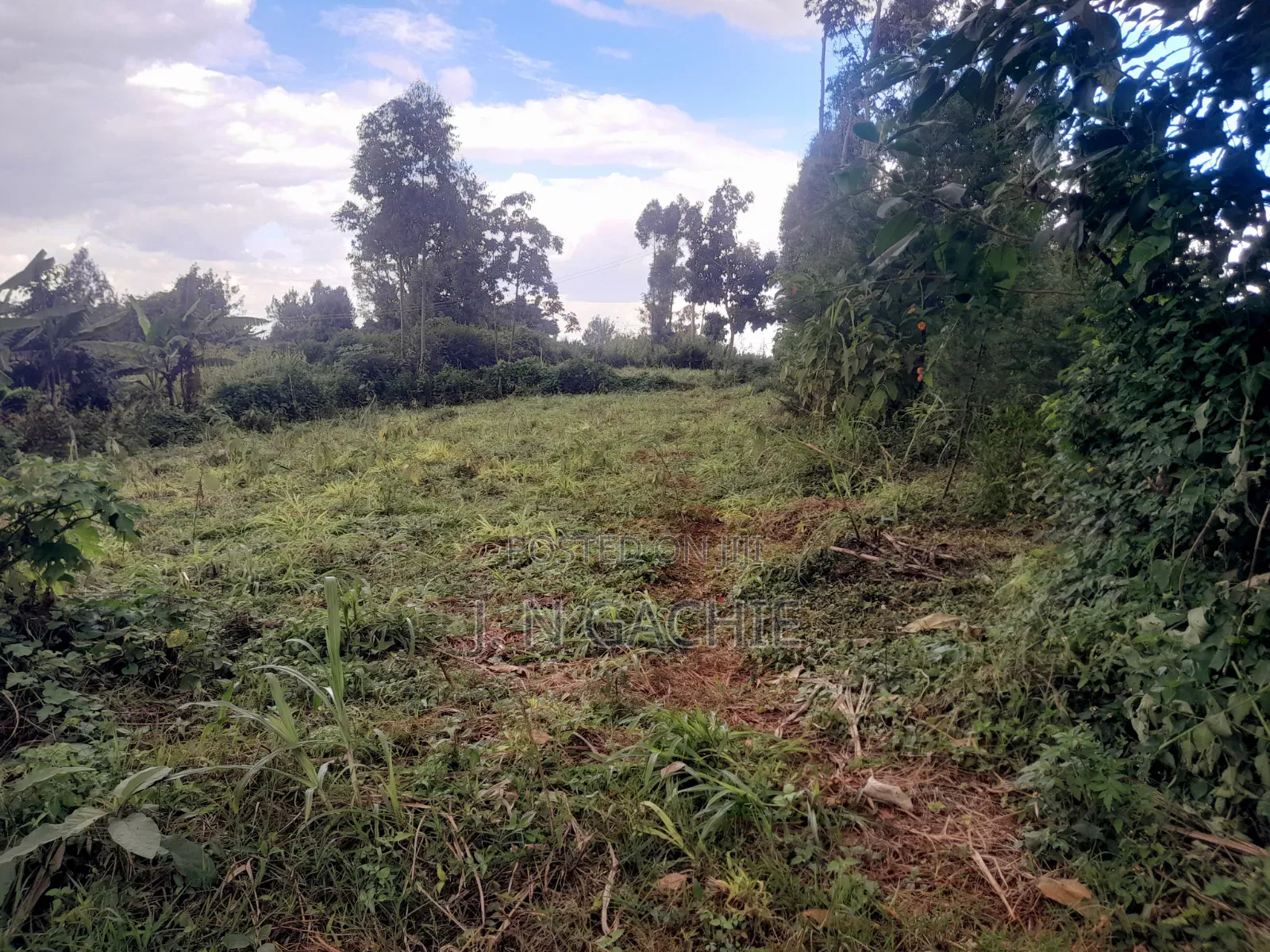 50/100 Plot on Sale at Kaspart Estate
