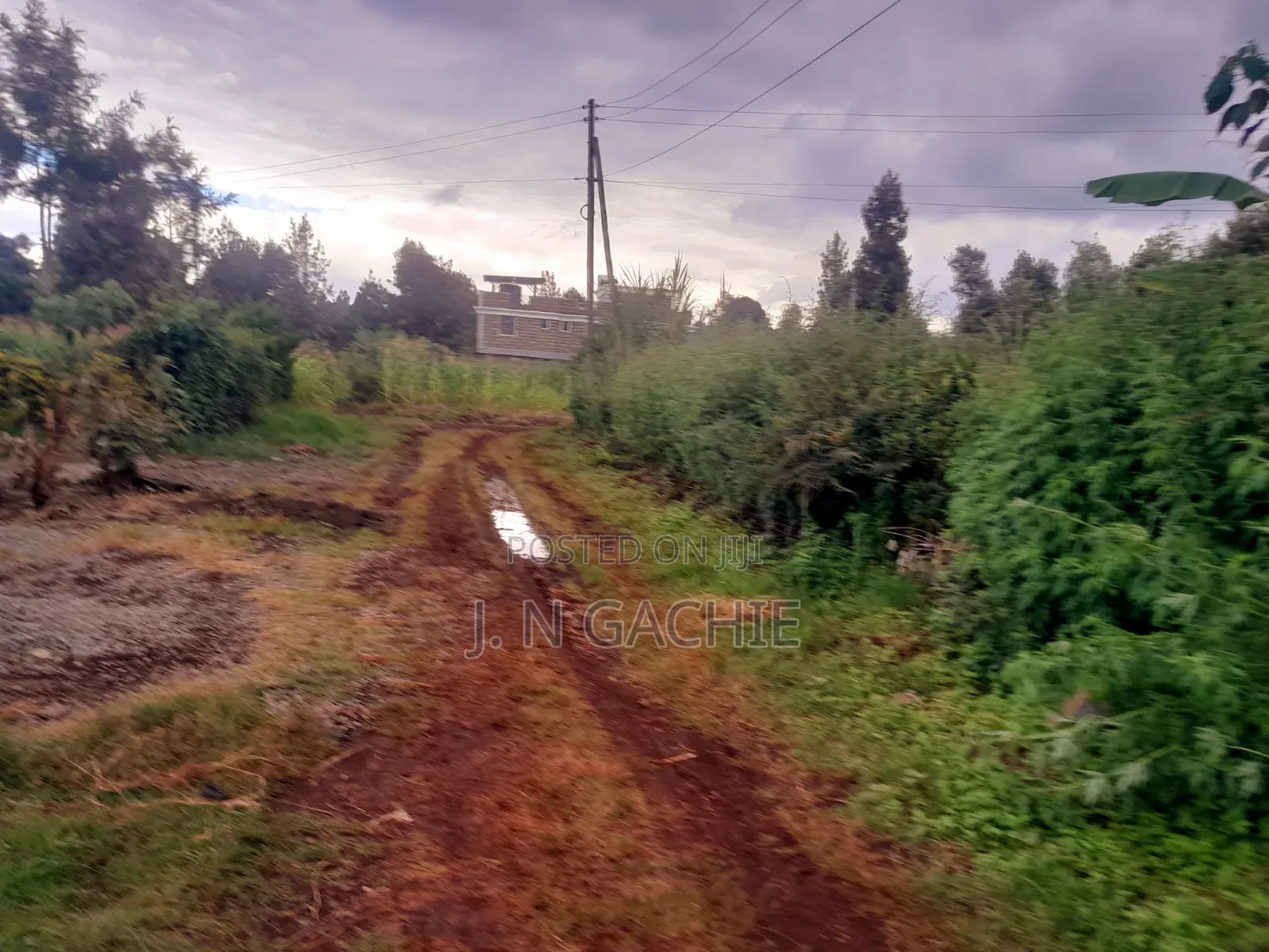 50/100 Plot on Sale at Kaspart Estate