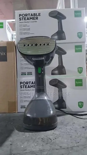 Portable Steamer