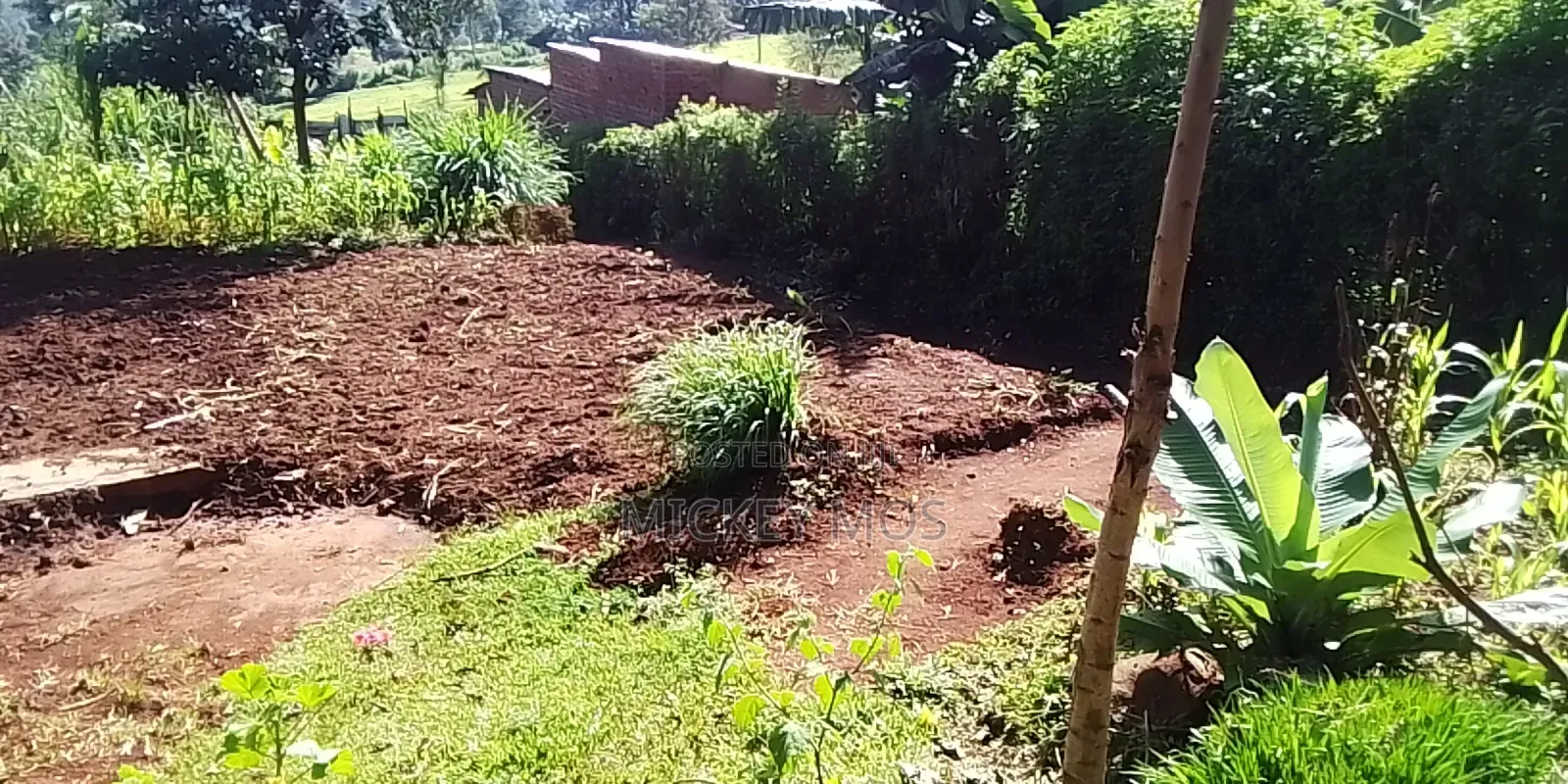 Selling Land 2points Cheplengu Shopping Center Nandi County