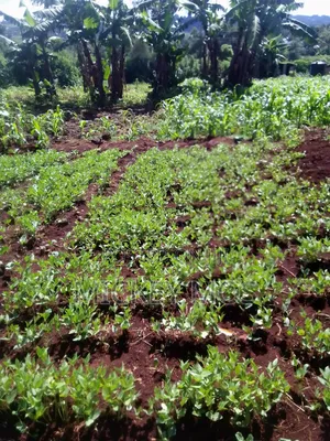 Selling Land 2points Cheplengu Shopping Center Nandi County