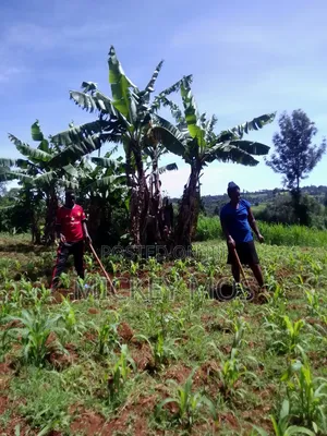 Selling Land 2points Cheplengu Shopping Center Nandi County