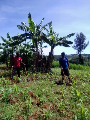 Selling Land 2points Cheplengu Shopping Center Nandi County