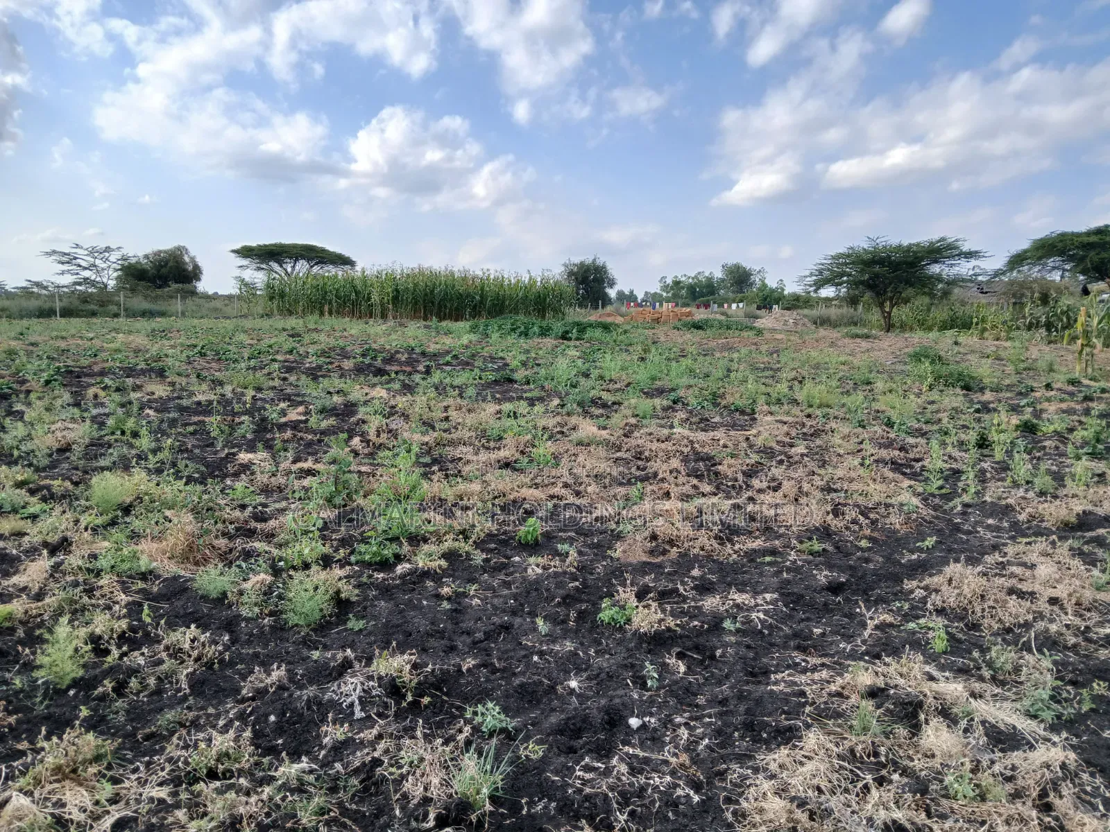 Very Prime Acre 100 Metres Off Kiseria-Isinya Tarmac Near Dawamu SCH