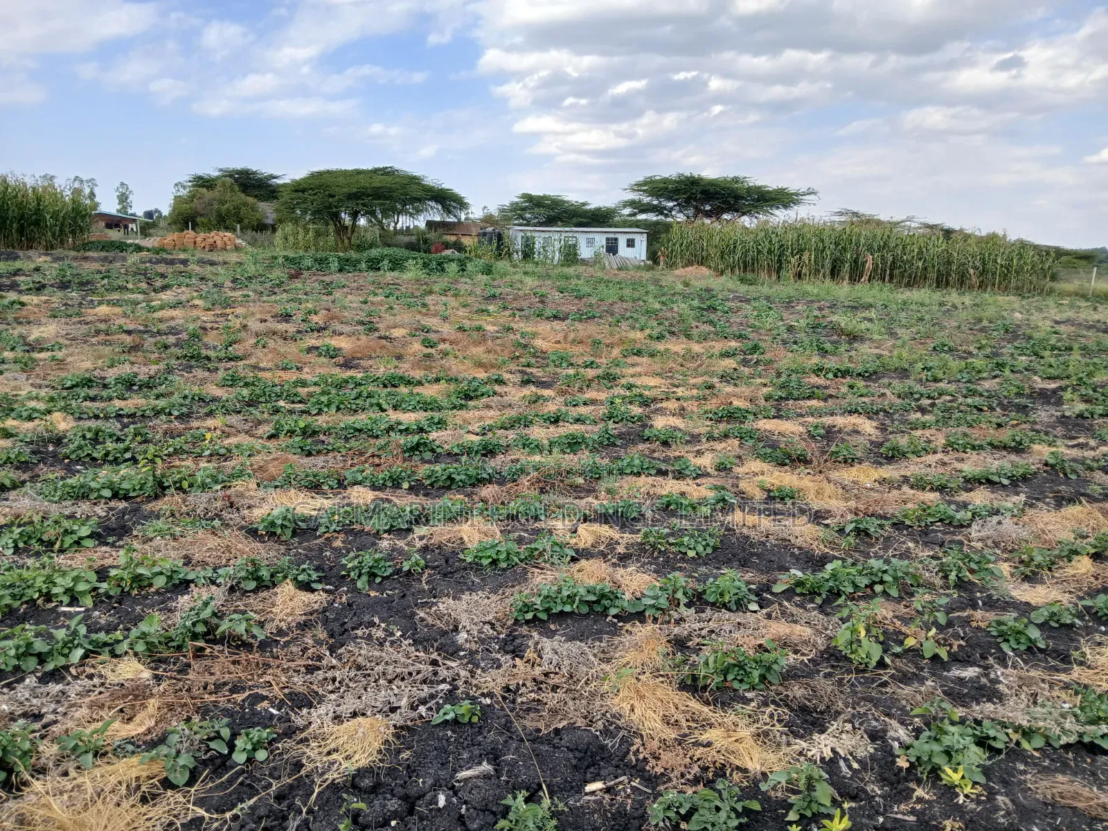 Very Prime Acre 100 Metres Off Kiseria-Isinya Tarmac Near Dawamu SCH