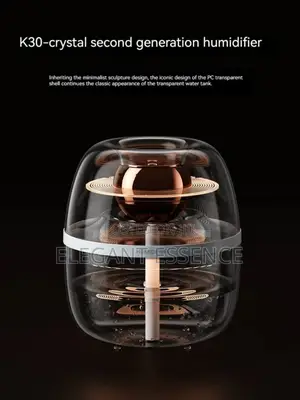 *Aeroglow Dual-Mist Humidifier*