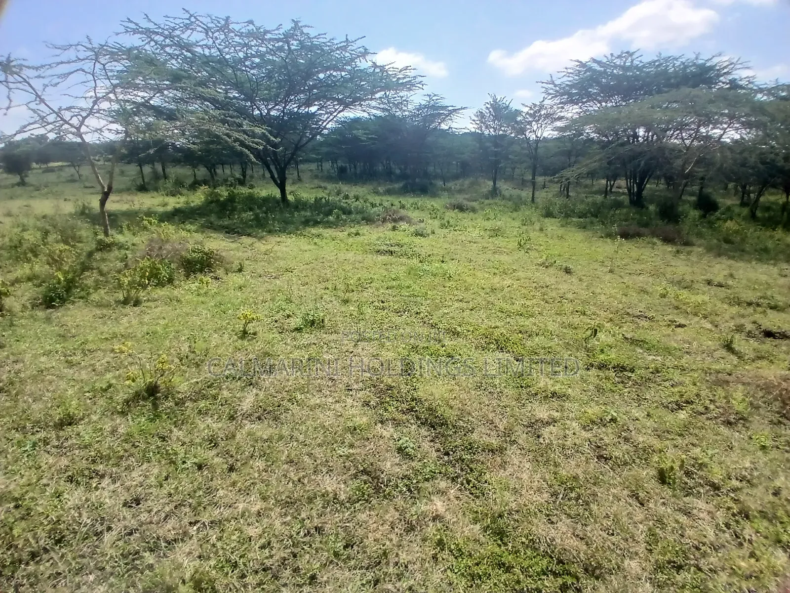 2 Prime Acre on Sale in Rimpa, Ongata Rongai 300 Metres Off Tarmac