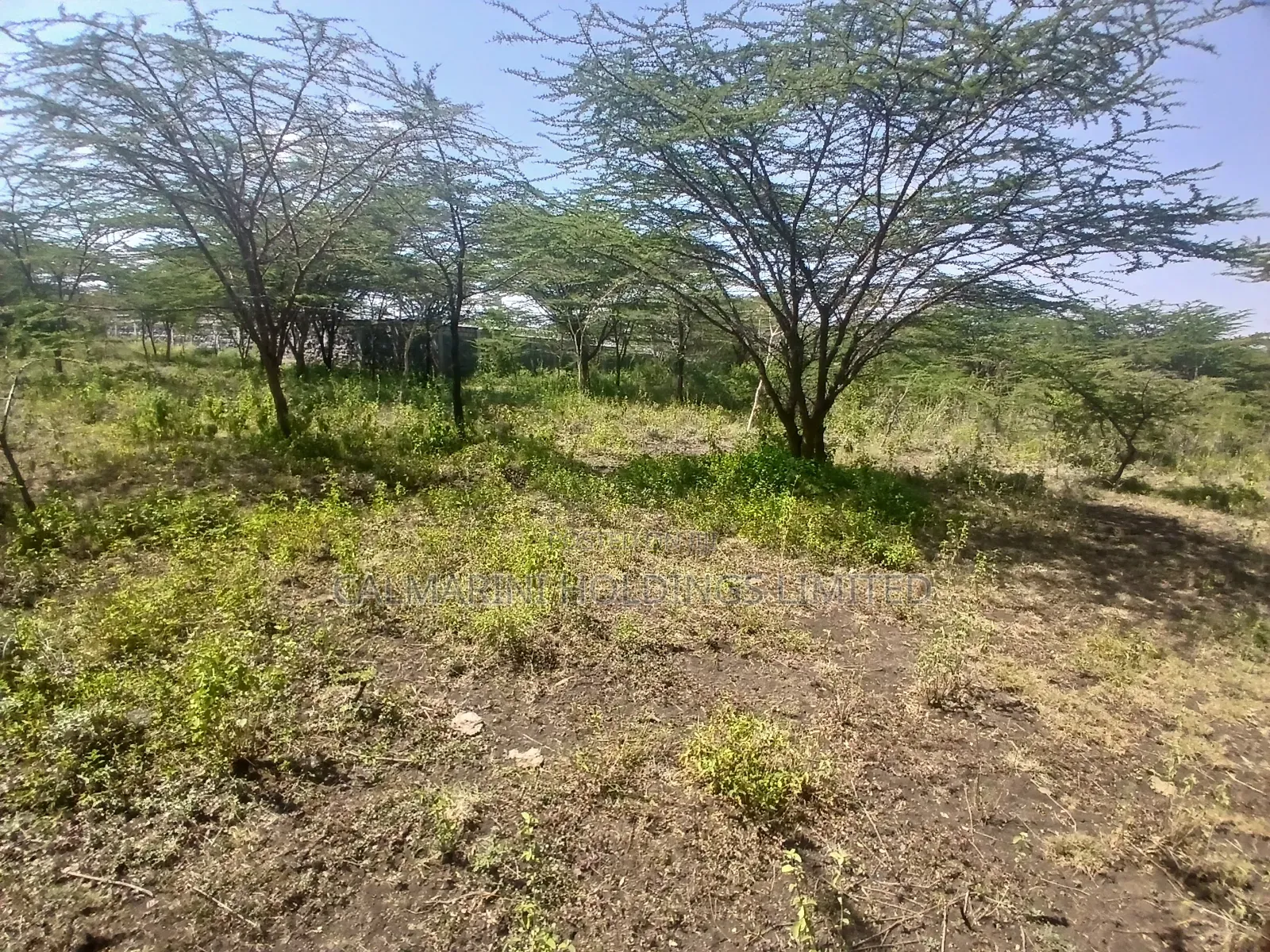 2 Prime Acre on Sale in Rimpa, Ongata Rongai 300 Metres Off Tarmac