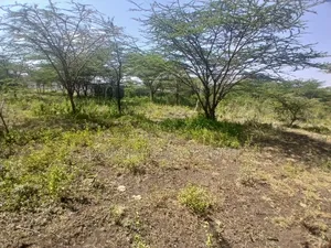 2 Prime Acre on Sale in Rimpa, Ongata Rongai 300 Metres Off Tarmac
