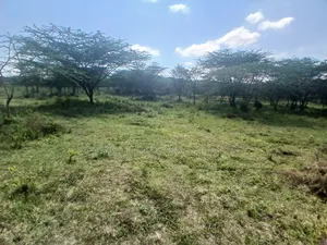 2 Prime Acre on Sale in Rimpa, Ongata Rongai 300 Metres Off Tarmac