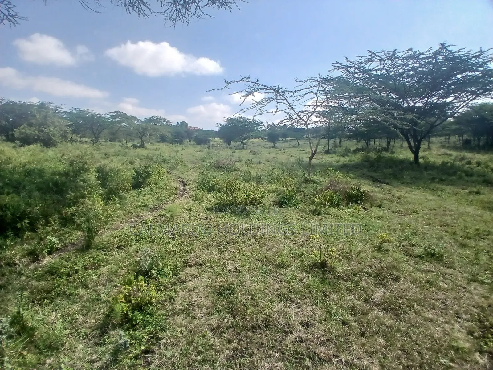 2 Prime Acre on Sale in Rimpa, Ongata Rongai 300 Metres Off Tarmac