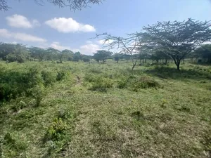 2 Prime Acre on Sale in Rimpa, Ongata Rongai 300 Metres Off Tarmac