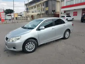 Toyota Axio 2010 Silver