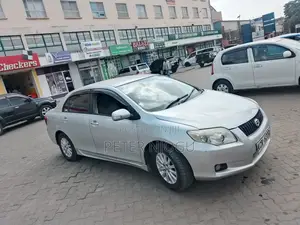 Toyota Axio 2010 Silver