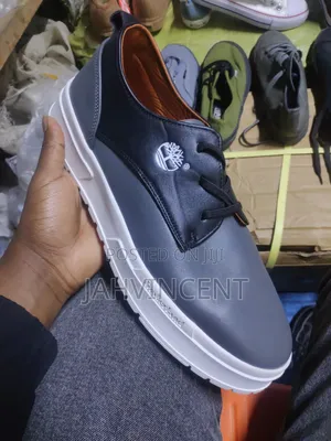 Timberland Casual Men Shoe