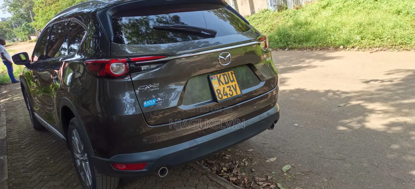 Mazda CX-8 2.2 AWD (7 seater) 2018 Brown