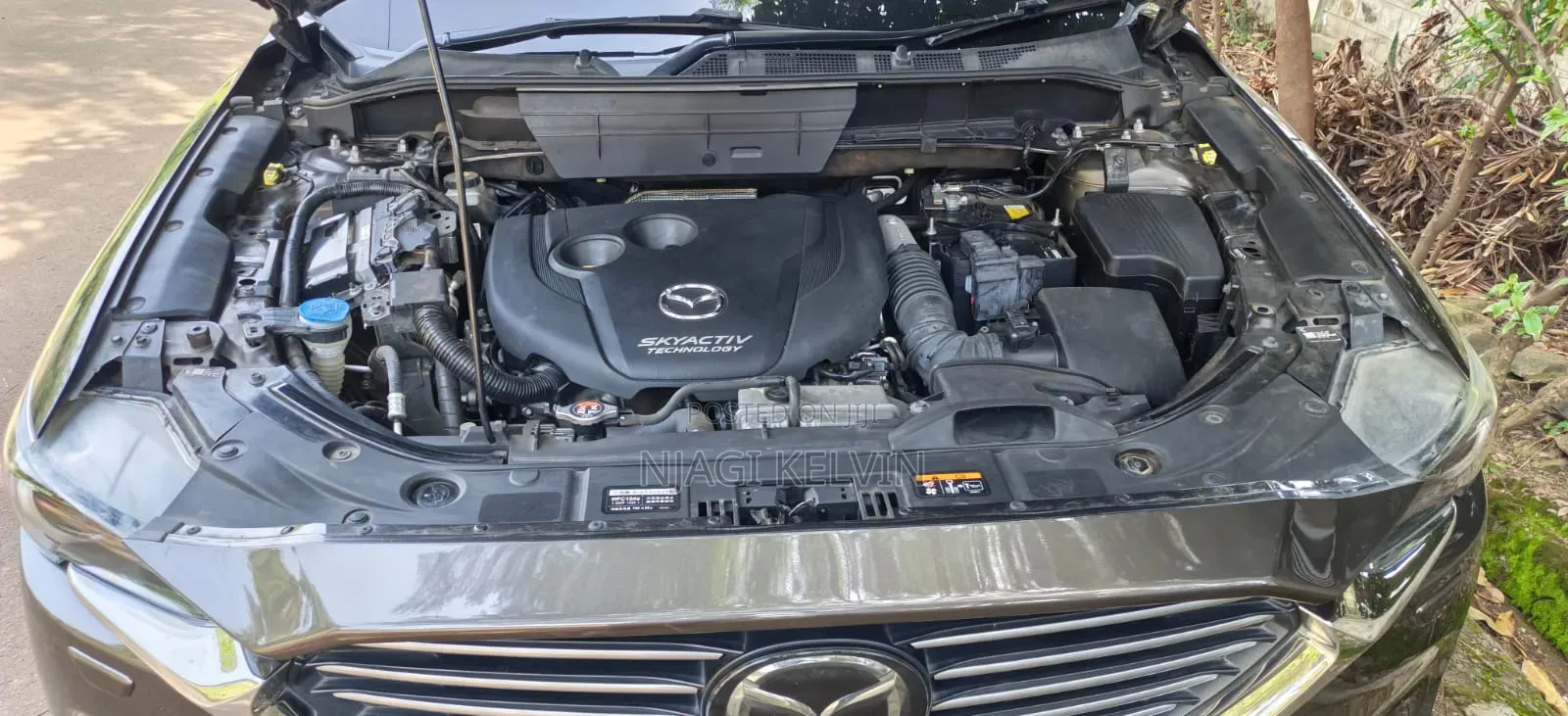 Mazda CX-8 2.2 AWD (7 seater) 2018 Brown