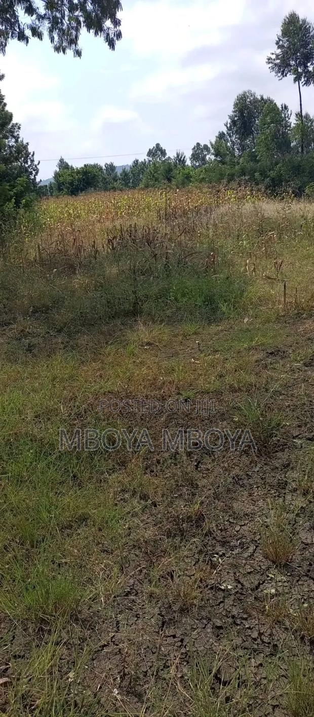 1/2 an Acre Land for Sale in Runda Mimosa - thumbnail 2