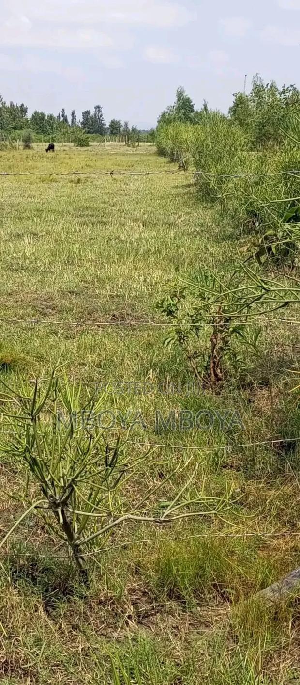 1acre Land for Sale in Brookside - thumbnail 2