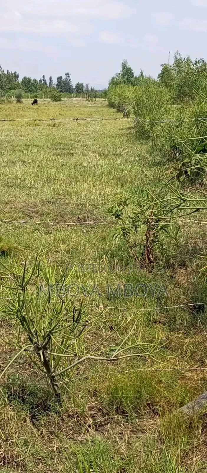 1acre Land for Sale in Brookside