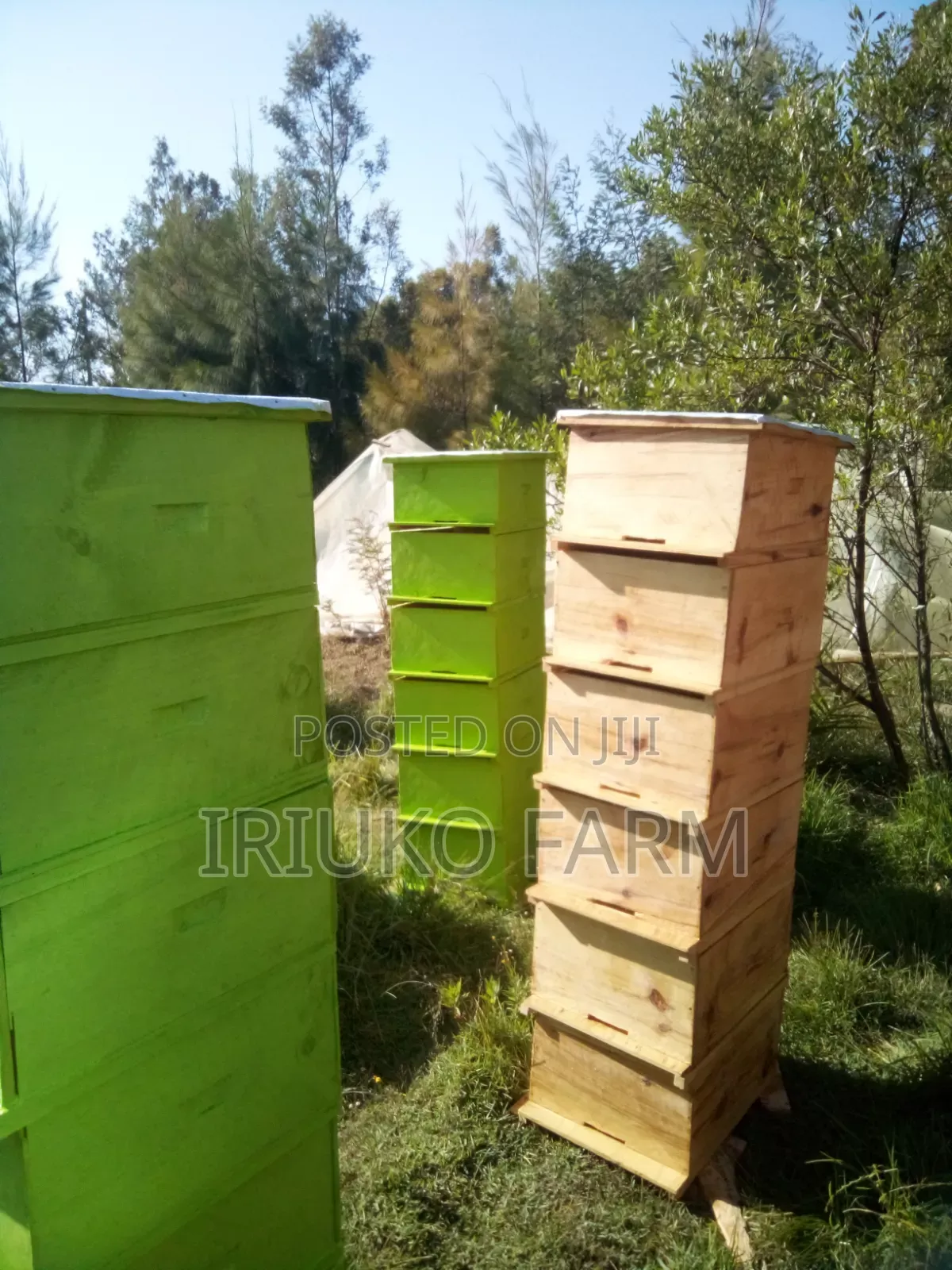 Langstroth Beehives Building Services