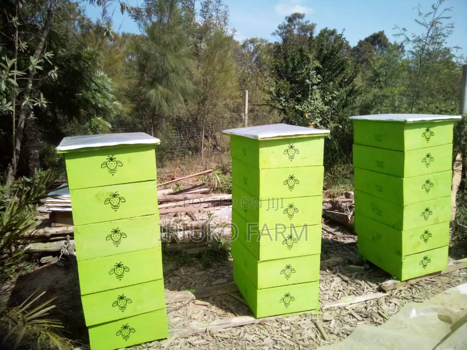 Langstroth Beehives Building Services