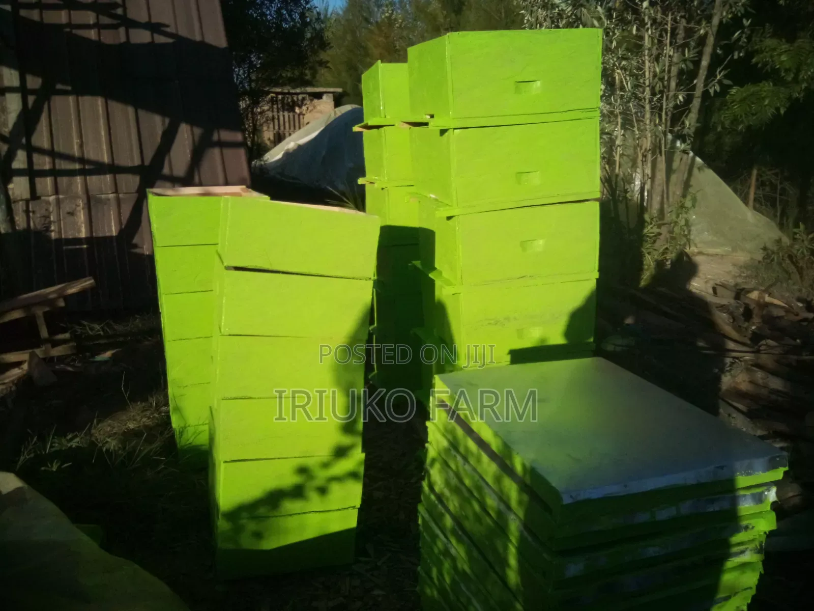 Langstroth Beehives Building Services