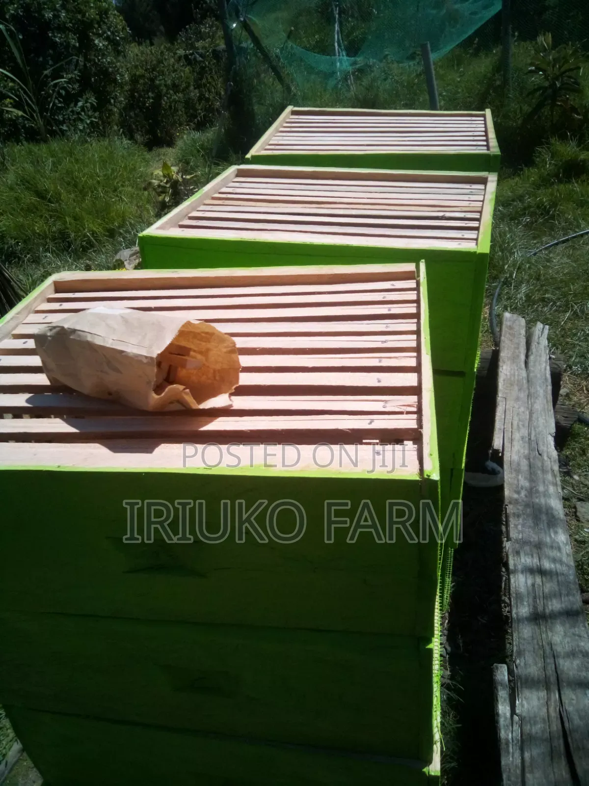 Langstroth Beehives Building Services