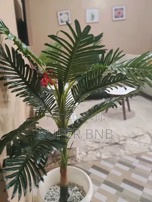 Studio Airbnb Ruiru-Membley Bypass
 Airbnb Kamakis 1 Bedroom