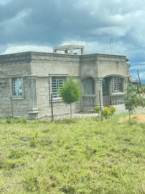 Acacia Gardens