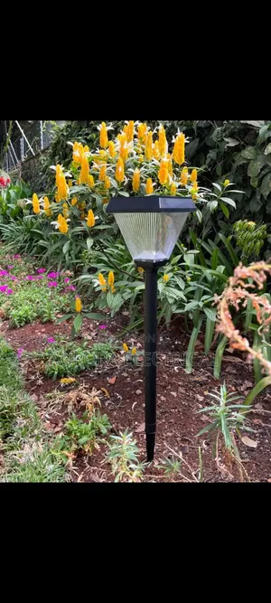 Double Colour Garden Lights