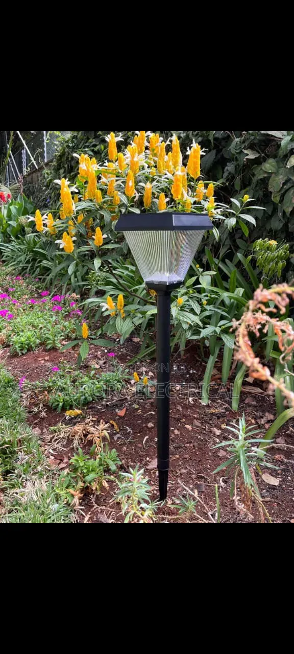 Double Colour Garden Lights
